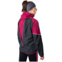 Damenjacke Dynafit Alpine Gtx W Jkt
