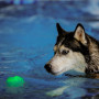 Hundespielzeug Nite Ize GlowStreak Wild LED Ball