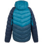 Herrenjacke Regatta Hooded Dalent