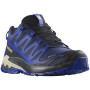 Wanderschuhe Salomon Xa Pro 3D V9 Gore-Tex