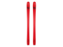 Skier