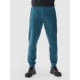Herren-Jogginghose 4F Trousers Fnk M682