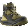 Herrenschuhe Salomon Elixir Mid Gore-Tex grün Black / Dried Herb / Southern Moss