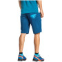 Socken Dynafit Vertical Mesh Footie