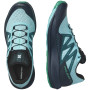 Herren Laufschuhe Salomon Pulsar Trail