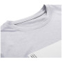 Herren T-Shirt Alpine Pro Goraf 2