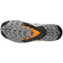 Herrenschuhe Salomon Xa Pro 3D V9