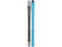 Skier