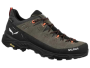 Alp trainer 2