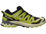 Herrenschuhe