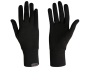 Merino