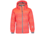 Ski