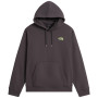 Herren-Sweatshirt The North Face U Nse Slopes Relaxed Hoodie - Graphic grau ANTHRACITE GREY