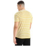 Herren-T-Shirt Icebreaker Drayden SS Tee Stripe