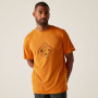 Herren-T-Shirt Regatta Fingal Stretch