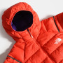 Damen Daunenjacke The North Face W Speedtour Down Hoodie