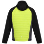 Herren-Winterjacke Regatta Andreson VII Hybrid