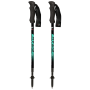 Trekkingstöcke Fizan Compact 4 grün green