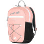 Kinderrucksack Mammut First Zip 8l rosa/rot CandyBlack