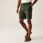 Herrenshorts Regatta Dalry Short