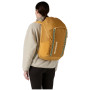 Rucksack Patagonia Black Hole Pack 32L