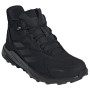 Wanderschuhe Adidas Terrex Anylander Leather Mid Climaproof