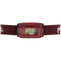 Stirnlampe Petzl Actik Core (2025)