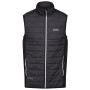 Herrenweste Regatta Halton B/W VII grau Ash/Black