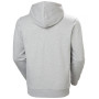 Herren-Sweatshirt Helly Hansen Core Graphic Hoodie