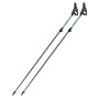 Nordic Walking Stöcke Fizan NW Carbon Pro Impulse