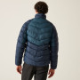 Herrenjacke Regatta Dalent