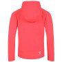 Kinder-Sweatshirt Dare 2b Thriving II Core St