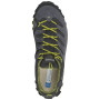 Herrenschuhe Aku Alterra Lite GTX
