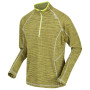 Herren-Sweatshirt Regatta Yonder grün/grau DarkTang