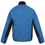 Herren-Sweatshirt Regatta Coladane IV