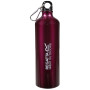 Flasche Regatta 1l Alu Bottle rosa Azalia