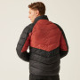 Herrenjacke Regatta Dalent