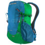 Rucksack Pinguin Step 24 (2020) grün