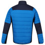 Herren-Winterjacke Regatta Halton VI