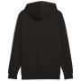 Herren-Sweatshirt Puma ESS No. 1 Logo Hoodie TR