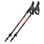 Nordic Walking Stöcke Fizan R-Evolution Pro