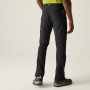 Herrenhose Regatta Mountain Z/O Trousers