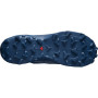 Herrenschuhe Salomon Wildcross GTX