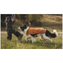 Hundebekleidung Ruffwear Overcoat Fuse™ Insulated Vest
