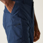 Herrenshorts Regatta Dalry Short