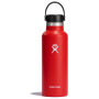 Thermoflasche Hydro Flask Standard Mouth 18 oz rot GOJI