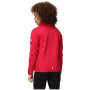 Kinder-Sweatshirt Regatta Jr Highton FZ IV