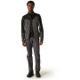 Herren-Sweatshirt Regatta Coladane VI