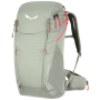 Rucksack Salewa Alp Trainer 20 Ws grau shadow