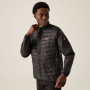 Herrenjacke Regatta Wentwood IX